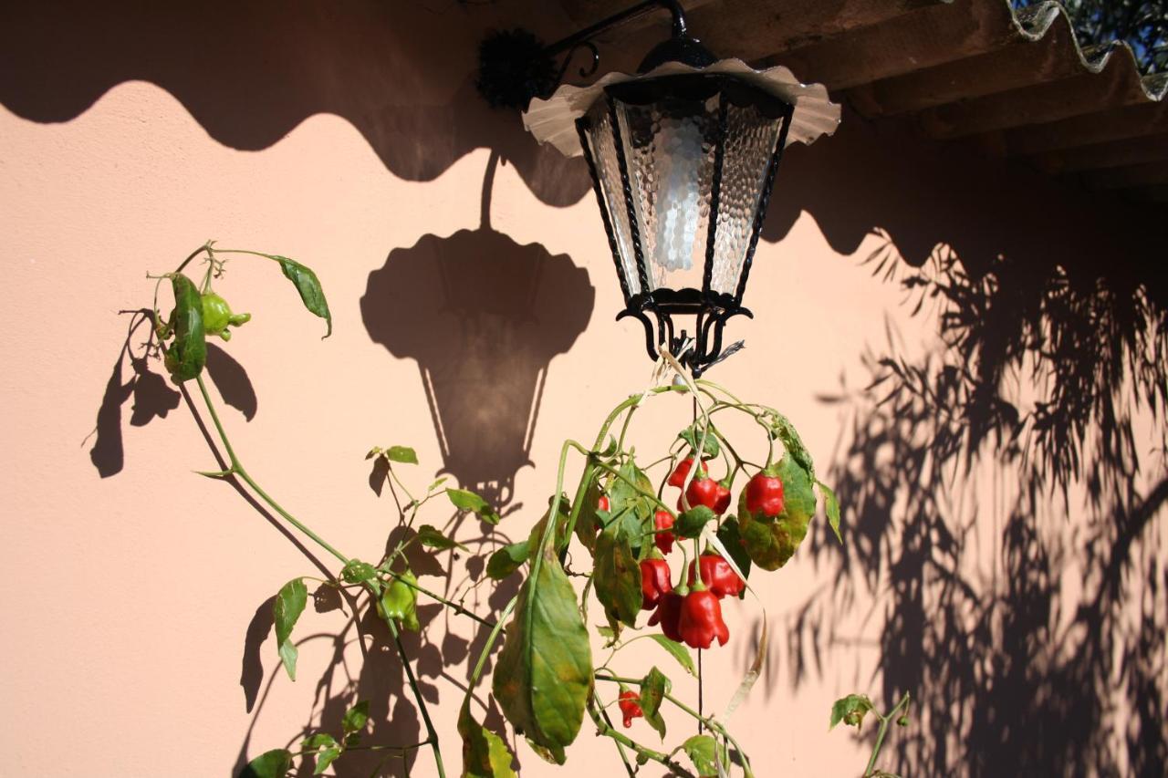 La Casa Di Sara Villa Pula Exterior photo